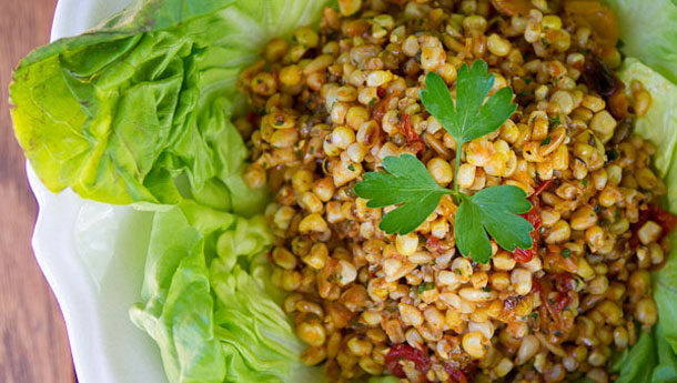 Grilled Corn Salad