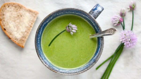 Cream of Lambsquarter Soup