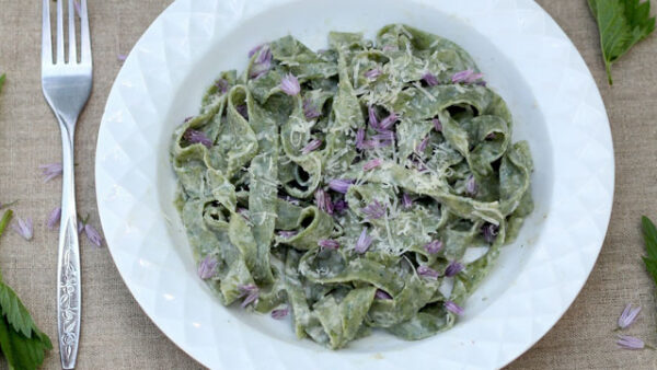Nettle Fettucine Alfredo recipe