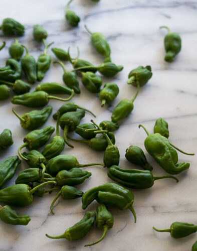 padron-peppers-2