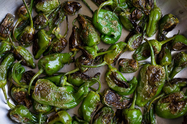 padron-peppers-3