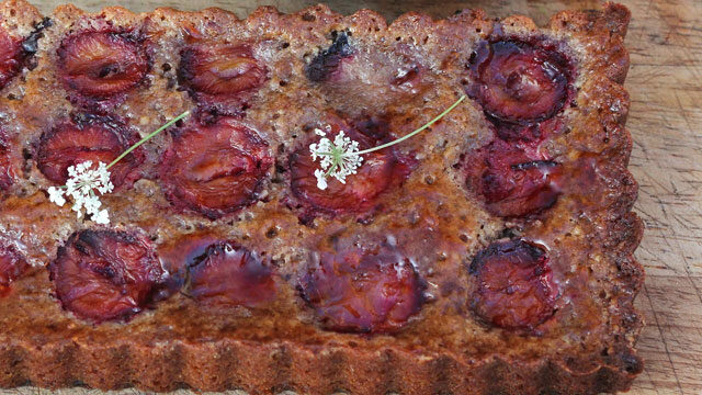 Plum Almond Tart recipe