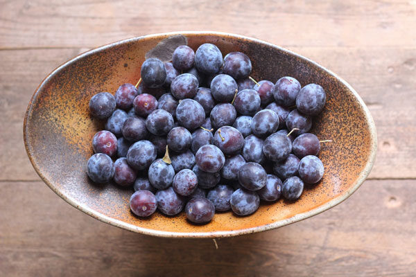 plum-almond-tart-2