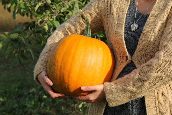 pumpkin-apple-baked-beans-2
