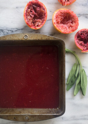 blood-orange-granita-3