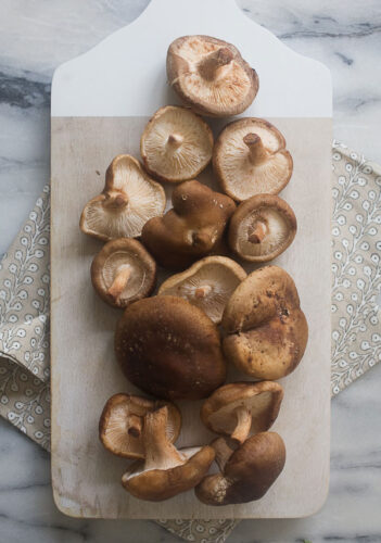 mushroom-stroganoff-3