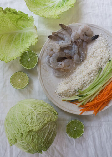 cabbage-coconut-shrimp-rolls-2