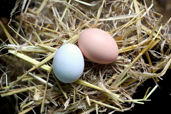 easter-deviled-eggs-3