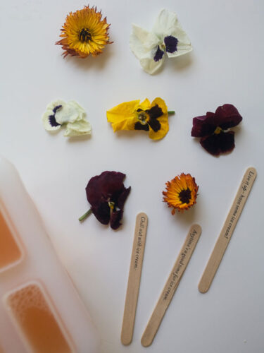 grapefruit-popsicles-3
