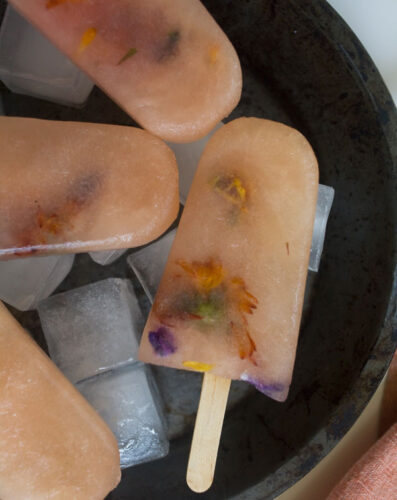 grapefruit-popsicles-4