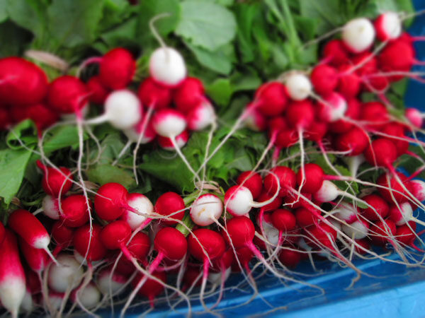 spring-radish-salad-2