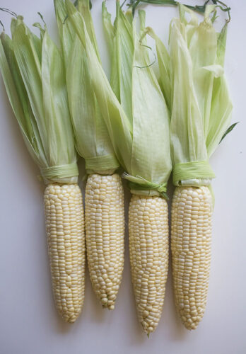 elote-2