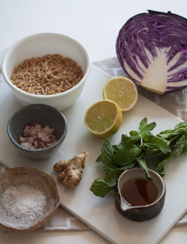 kamut-cabbage-salad-2
