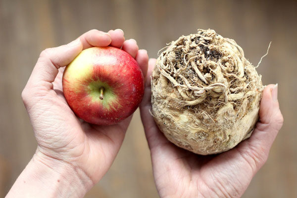 celeriac-apple-slaw-2