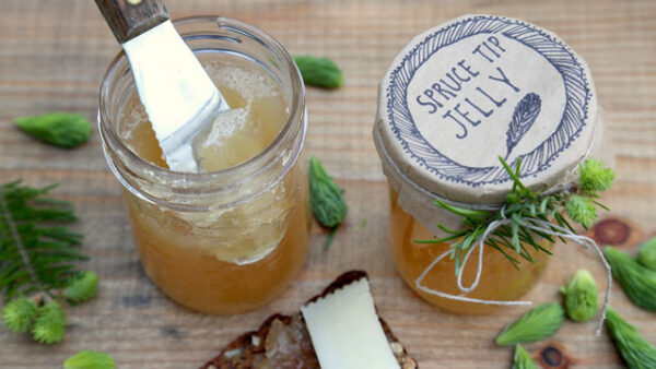 Spruce Tip Jelly recipe