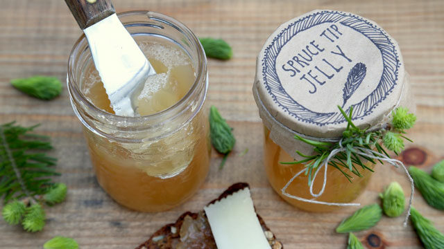 Spruce Tip Jelly recipe