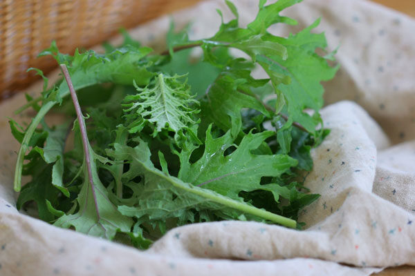 tofu-spring-greens-stir-fry-4