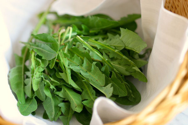 tofu-spring-greens-stir-fry-7