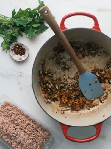 Chicken Veggie Bolognese 4 602x808
