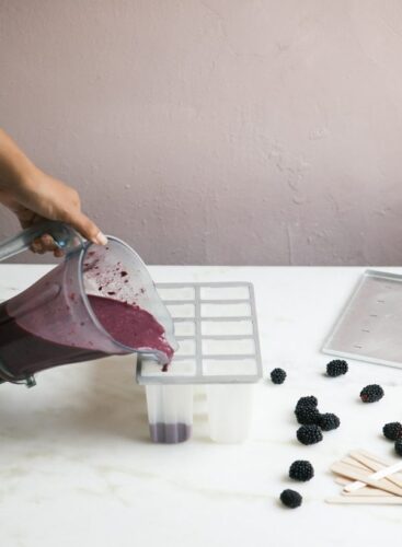 Blackberry Coconut Popsicles 6 602x820
