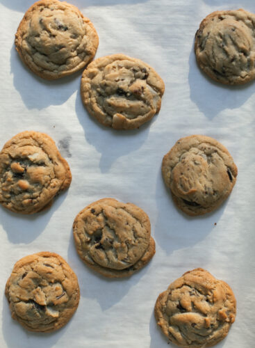 PecanChocolateChipCookies-2