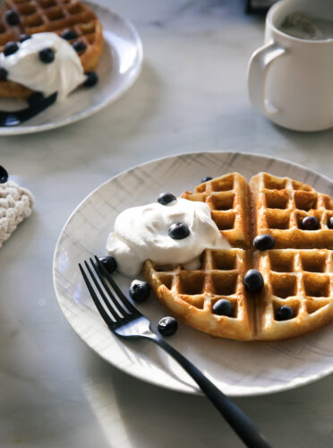 BelgianCrispyWaffles-3