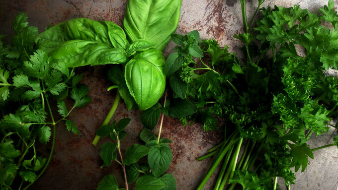 chimichurri-herbs
