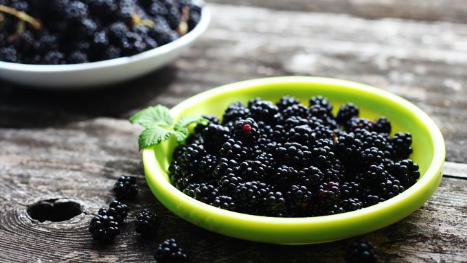 fresh-picked-blackberries