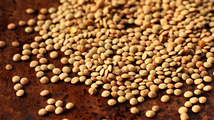 lentils