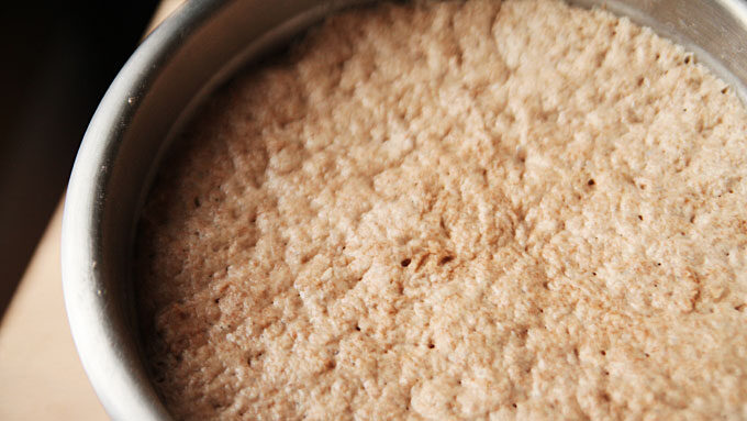 rising-dough