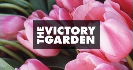 Explore Recipes &amp; More from The Victory Garden | PBS Food